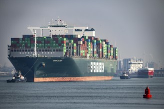 Harbour tugs bring the container freighter Ever Globe to its berth at Hutchison Ports ECT Euromax,