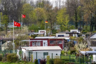 Allotment gardens on the Rhine dyke near Duisburg-Beeckerwerth, allotment garden association