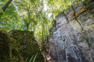 The Devil's Gorge, narrow, accessible gorge of sandstone rocks, with steep rocky gorges, near