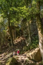 Path to the Devil's Gorge, near Irrel, Southern Eifel nature park Park, Rhineland-Palatinate,