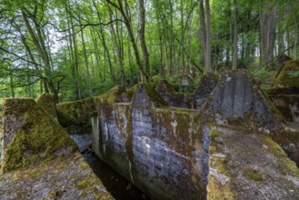 Remains of the Westwall across the Grölisbach, near Roetgen, 100 metre long anti-tank barrier