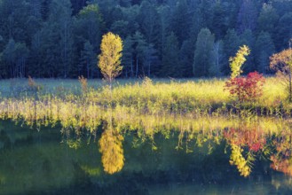 Autumn at Schwansee, near Hohenschwangau, Romantic Road, Ostallgäu, Bavaria, Germany, Europe