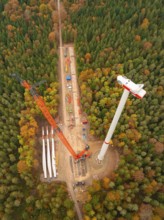 Construction of a wind turbine above autumnal treetops, seen from above, wind farm construction