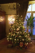 Europe, Germany, Christmas tree, Christmas tree in living room, Christmas, traditional tree