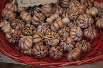 Sale of smoked garlic at Campo de Fiori, Rome. Italy