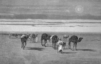 Caravan in the Sahara, Algeria, Historical, digitally restored reproduction from a 19th century