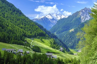 Picturesque mountain landscape and view over the Passeier Valley above Rabenstein, moss in