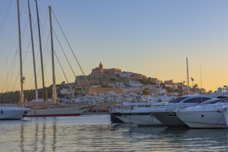 Luxury yachts anchored in the harbour, behind the fortress and the old town of Eivissa, Ibiza Town,