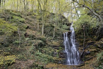 Klidingen waterfall in autumn, Vulkaneifel, Rhineland-Palatinate, Germany, Europe