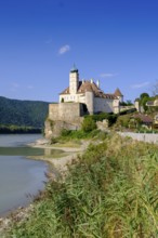 Schönbühel Castle, on the Danube, Schönbühel-Aggsbach, Wachau, Lower Austria, Austria, Europe