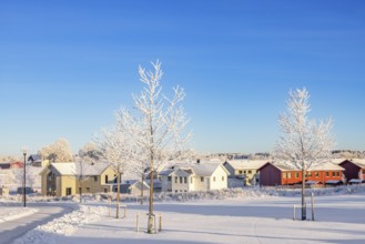 Residential area with detached houses on a cold snowy winter day with frosty trees, Falköping,