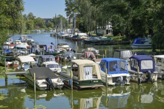 Motorboats, jetty, Untere Planitz, Neustädter Havelbucht, Potsdam, Brandenburg, Germany, Europe