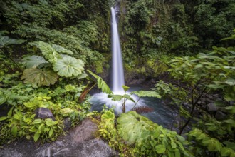 La Paz waterfall, waterfall in dense green vegetation, long exposure, Alajuela province, Costa