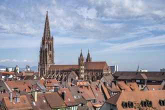 View over the roofs of the old town with Freiburg Minster, Freiburg im Breisgau, Baden-Württemberg,