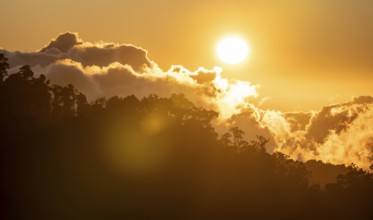 Evening mood, clouds over cloud forest, mountain rainforest, Parque Nacional Los Quetzales, Costa