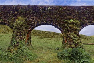 Overgrown historical aqueduct Muro das Nove Janelas with moss-covered arch structures in front of a