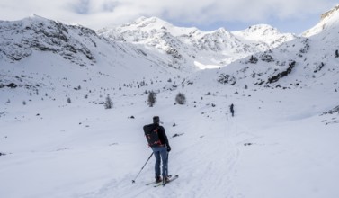 Ski tourers ascending in the rear Martell Valley, snow-covered mountain peak Monte Cevedale behind,