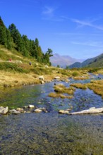 Staller Almbach, Staller Sattel, Defereggen Valley, East Tyrol, Austria, Europe