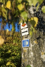 Hiking trail sign in the vineyards in autumn, Ebringen, near Freiburg im Breisgau, Markgräflerland,