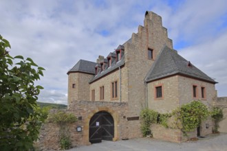 Altenbaumburg castle built in the 13th century, Altenbamberg, Rhineland-Palatinate, Germany, Europe