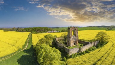 Agriculture, rape field, in full bloom, yellow, in it a ruin of a church, aerial view, AI