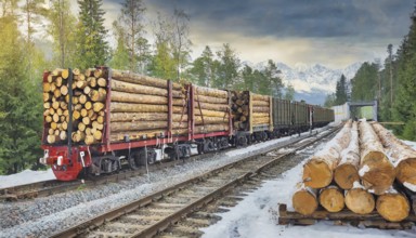 Forestry, timber industry, long goods train with goods wagons loaded with logs, AI generated, AI