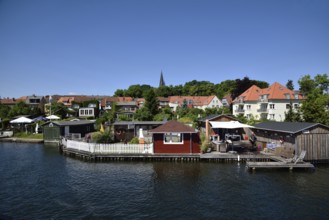 Europe, Germany, Mecklenburg-Western Pomerania, island town of Malchow, Lake Malchow, lakeside