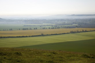 Early morning ground fog lying over fields in the Vale of Pewsey, near Alton Barnes, Wiltshire,