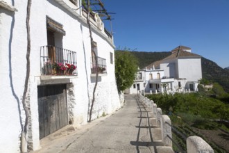 Houses in the village of Bubion, High Alpujarras, Sierra Nevada, Granada province, Spain, Europe