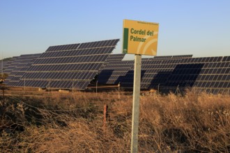 PV solar array at Cordel del Palmar, near Vejer de la Frontera, Cadiz province, Spain, Europe