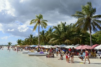 Beachgoers relax under colourful umbrellas next to the calm sea, Boca Chica, Santo Domingo