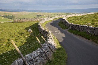 Country lane and dry stonewalls, Malham, Yorkshire Dales national park, England, UK