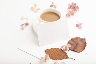 Composition with white paper business card, brown beech autumn leaves, hydrangea flowers and cup of