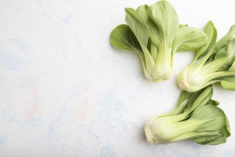 Fresh green bok choy or pac choi chinese cabbage on a white concrete background. Top view, copy