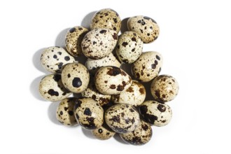 Pile of quail eggs isolated on white background. Top view