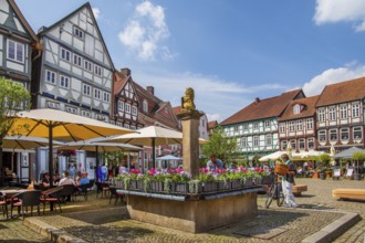 Fountain on the Großer Plan in the old town centre with typical half-timbered houses, Celle,