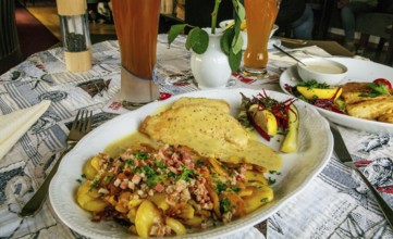 Wremer Panfisch with mustard sauce and bacon fried potatoes in the fish restaurant Wremer