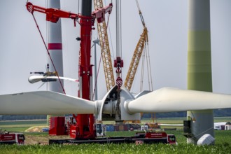 Dismantling of a wind power plant in a wind farm near Issum, 9 older wind turbines from the