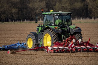 Sugar beet being sown in spring, precision sowing with precision seed drill, behind a tractor,