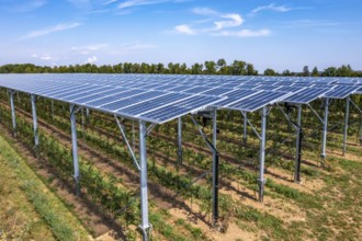 Agri-photovoltaic test plant, an apple orchard with two different systems of PV modules was roofed