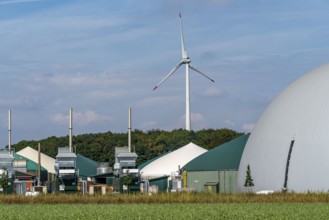 Biogas plant, combined heat and power plants, for power generation, dome-shaped gas storage, wind