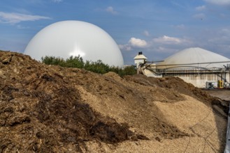 Biogas plant, gas storage, with dome, use of solid manure as energy source, storage area, on a farm