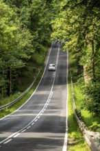 Country road through a forest, near Hofgeismar, in Hesse, Germany, Europe