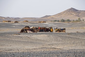 Bedouin tents in the Sahara Desert near Merzouga, Drâa-Tafilalet, Errachidia, Morocco, Africa