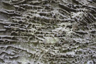 Close-up of eroded rock face in cliff due to wind and water erosion called honeycomb weathering,