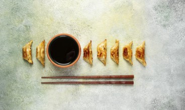 Japanese fried dumplings, gyoza, sesame seeds, top view, no people