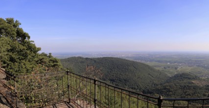 View of the Rhine plain from the summit plateau of the Orensberg (southern Wine Route)