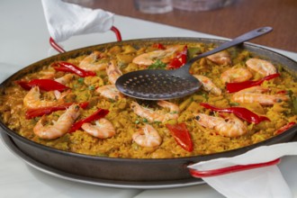 Paella pan with freshly cooked paella with seafood, Fuerteventura, Canary Island, Spain, Europe