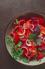 Fresh tomato salad, with red onion, spices and herbs, top view, close-up, homemade