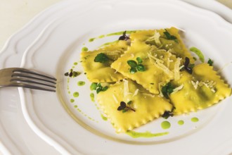 Ravioli with spinach and cheese, green sauce, on a light background, selective focus, no people